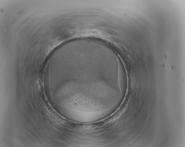 X0000072971497200608111703