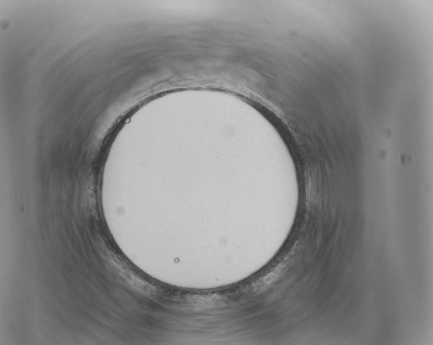 X0000072971498200608111703