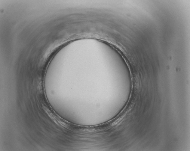 X0000072971499200608111703