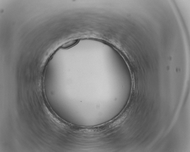 X0000072971500200608111703