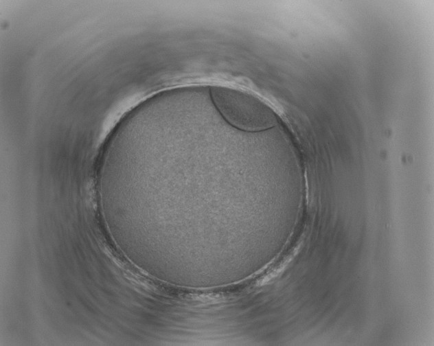 X0000072971501200608111703