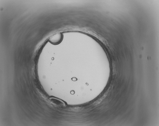 X0000072971502200608111703