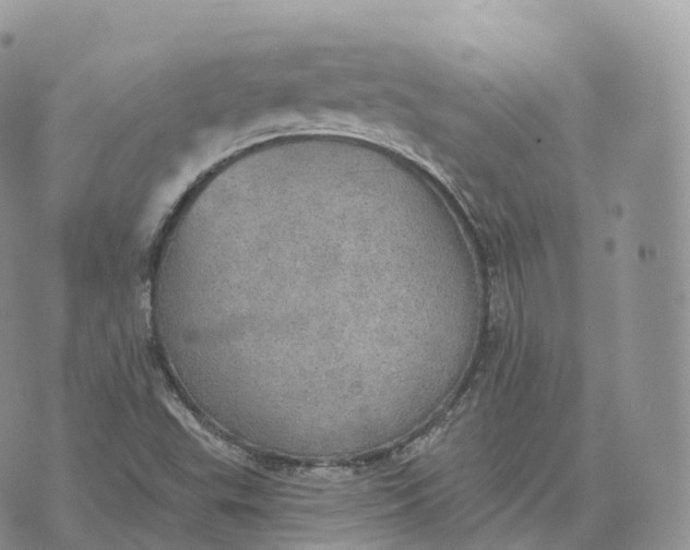 X0000072971503200608111703