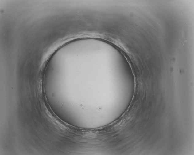 X0000072971504200608111703