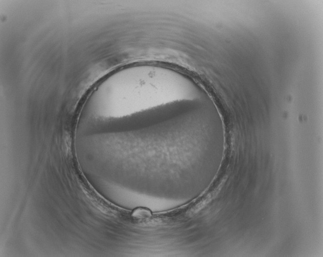 X0000072971505200608111703