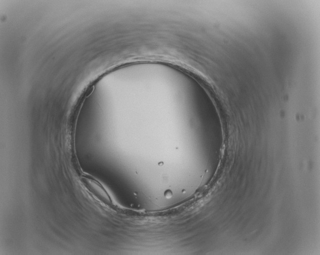 X0000072971506200608111703