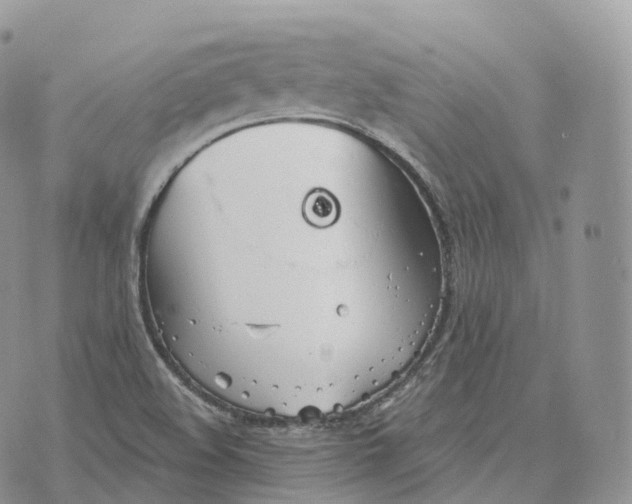 X0000072971508200608111703