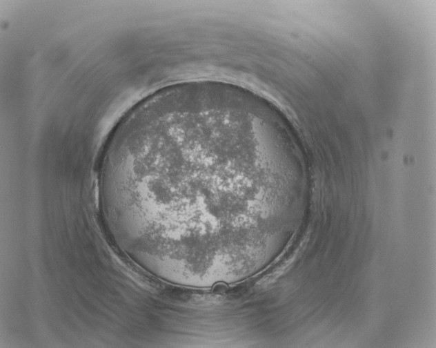 X0000072971509200608111703