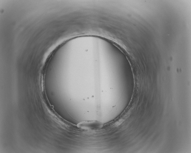 X0000072971510200608111703