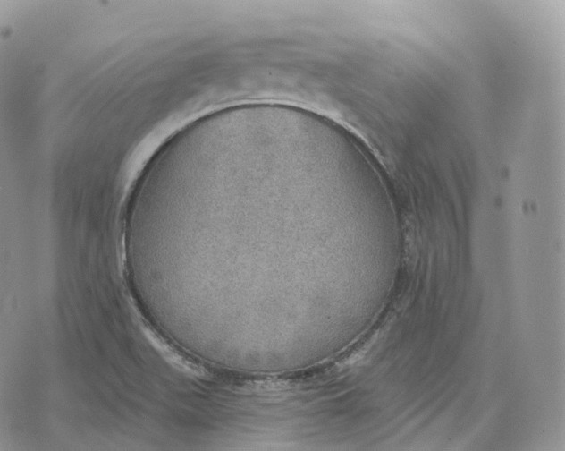 X0000072971511200608111703