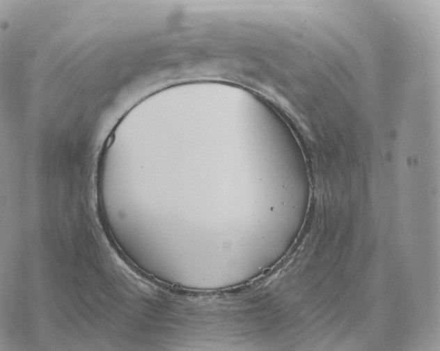 X0000072971512200608111703