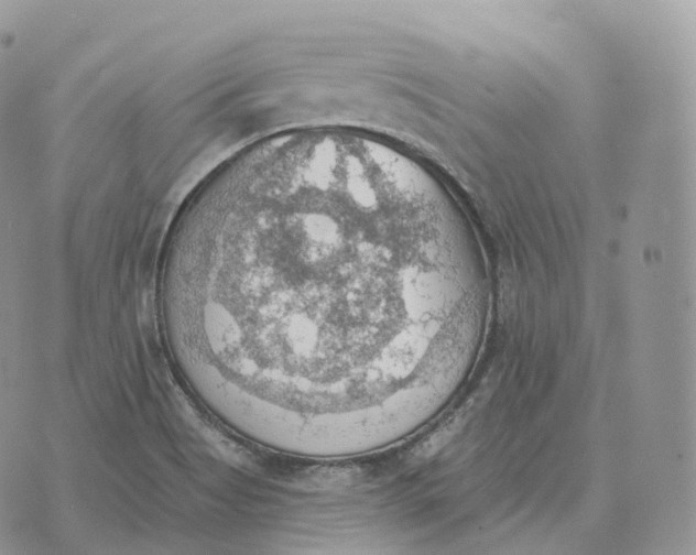 X0000072971513200608111703