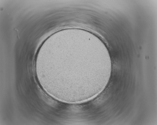 X0000072971514200608111703