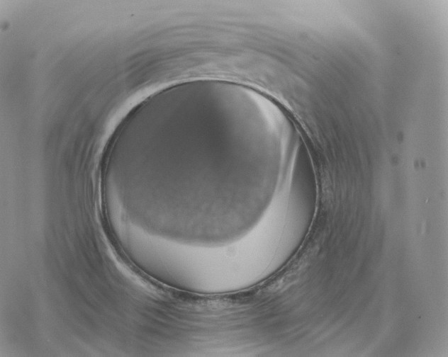 X0000072971515200608111703