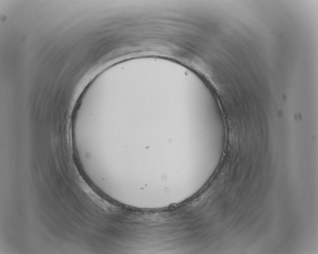 X0000072971516200608111703