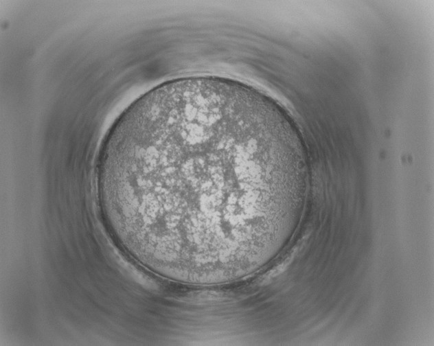 X0000072971517200608111703