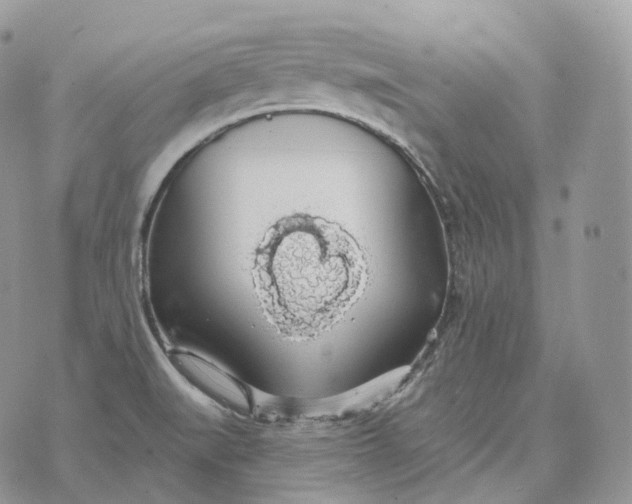 X0000072971519200608111703