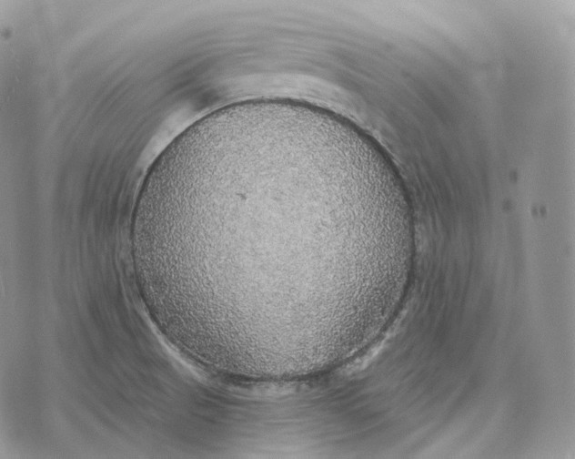 X0000072971521200608111703