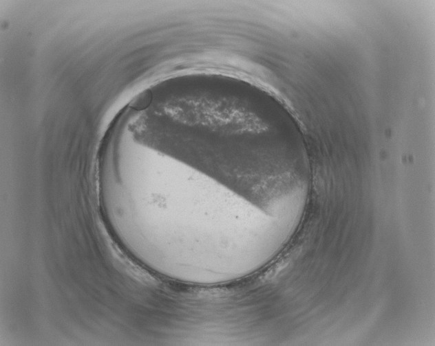 X0000072971522200608111703