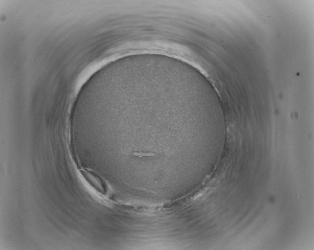 X0000072971523200608111703