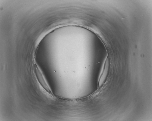 X0000072971524200608111703