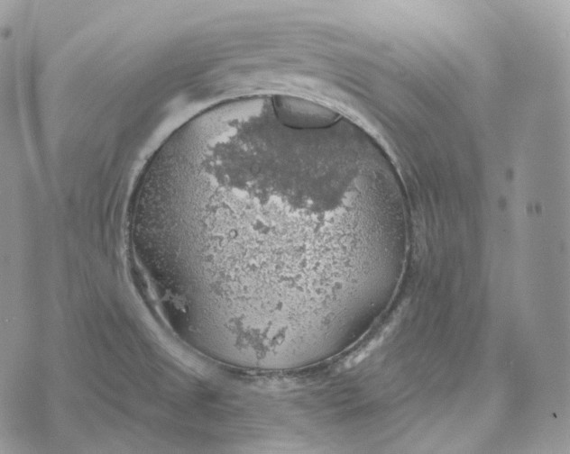 X0000072971525200608111703