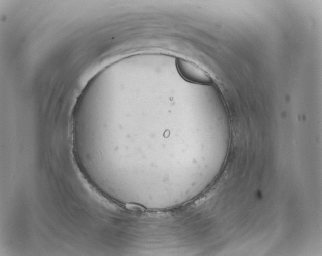 X0000072971526200608111703