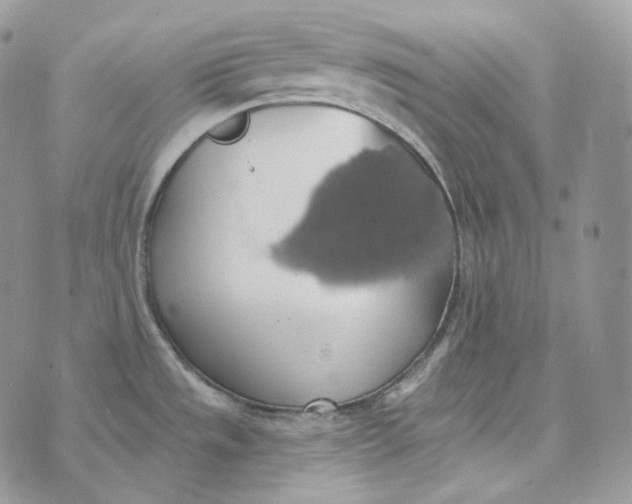 X0000072971533200608111703