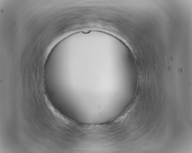 X0000072971534200608111703