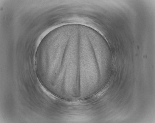 X0000072971535200608111703