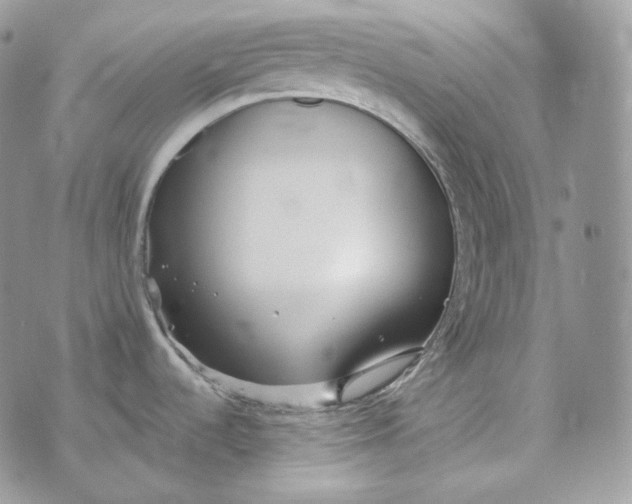 X0000072971536200608111703