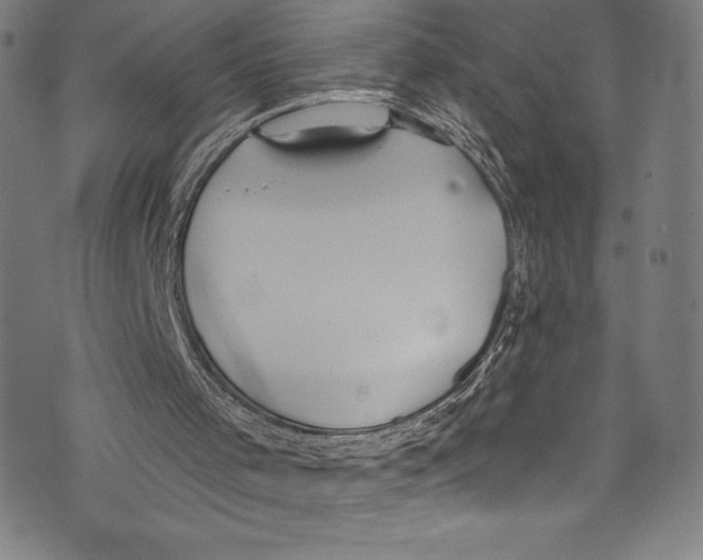 X0000072970001200608211333