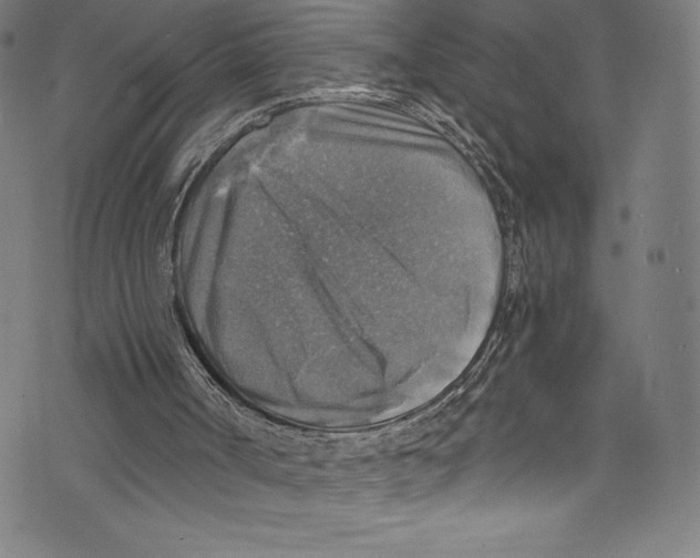 X0000072970002200608211333