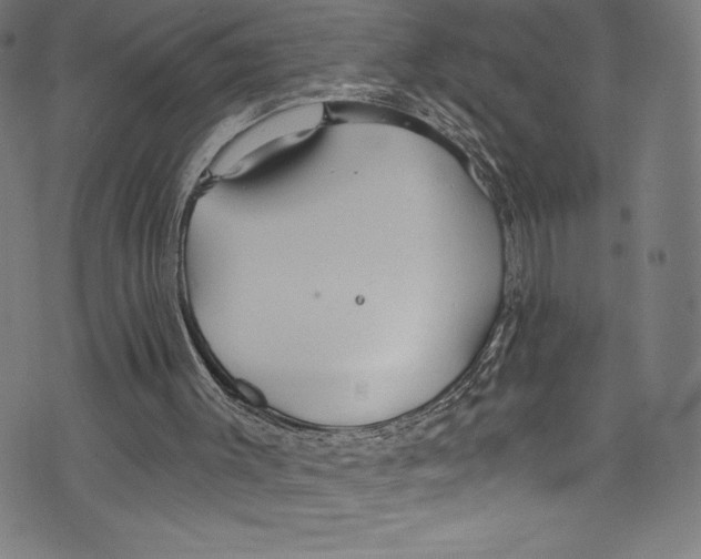 X0000072970003200608211333