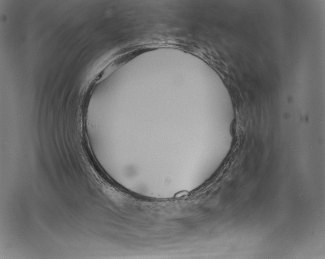 X0000072970005200608211333