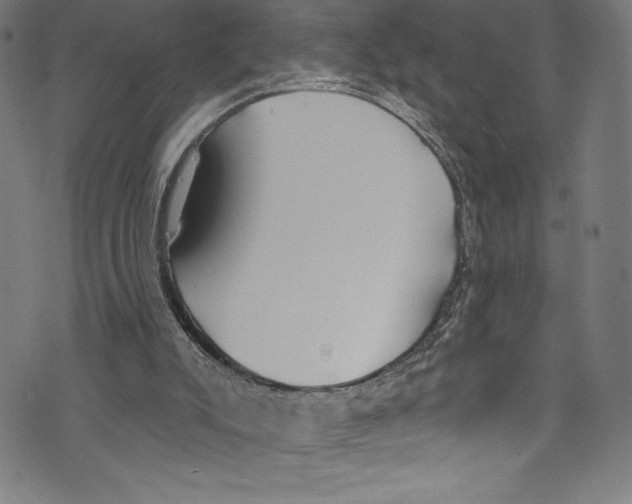 X0000072970007200608211333