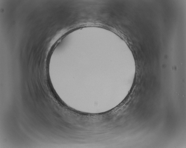 X0000072970008200608211333