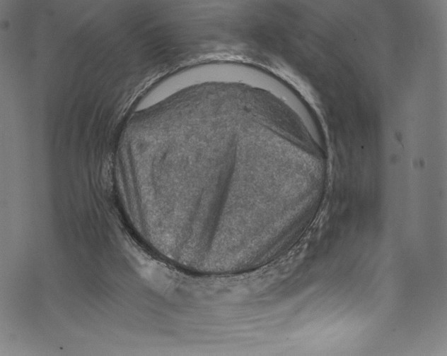 X0000072970009200608211333