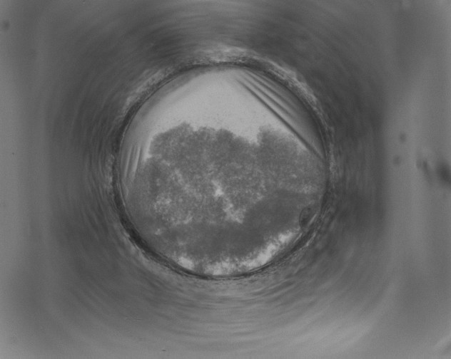 X0000072970010200608211333