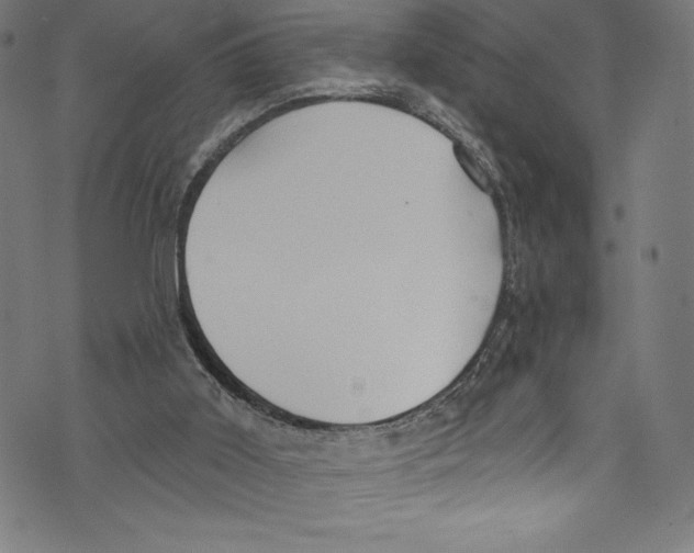 X0000072970011200608211333