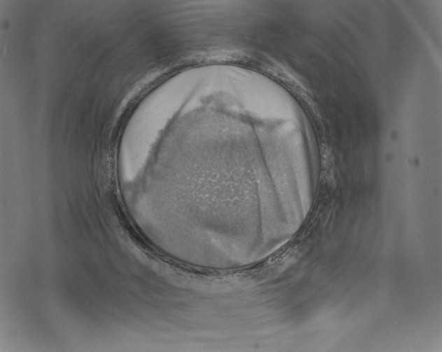 X0000072970012200608211333