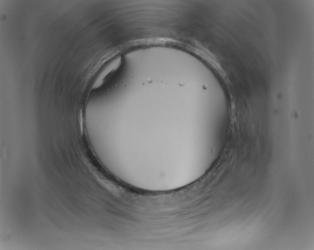 X0000072970013200608211333