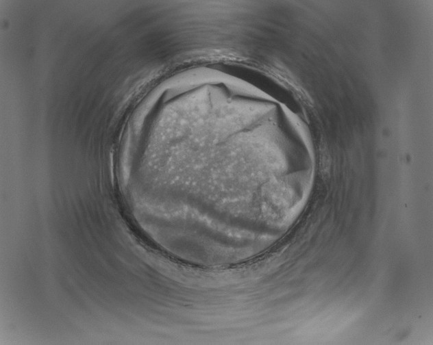 X0000072970014200608211333