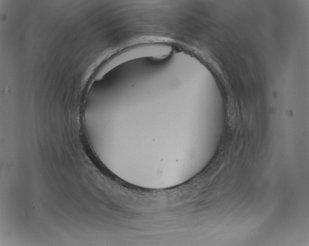 X0000072970015200608211333