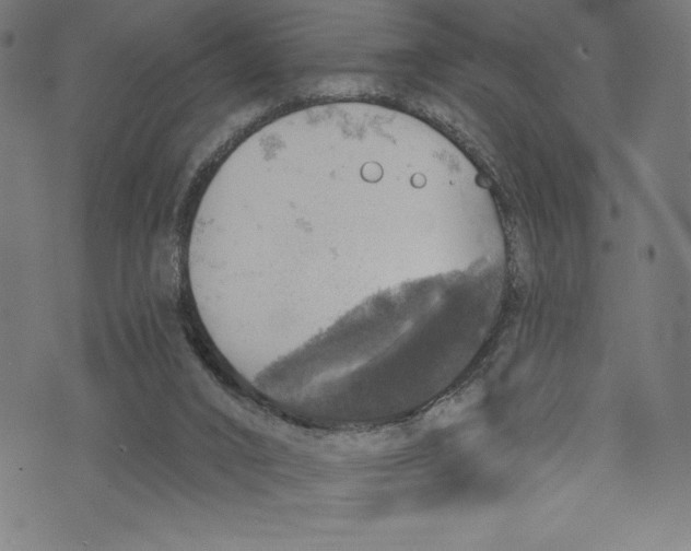 X0000072970016200608211333