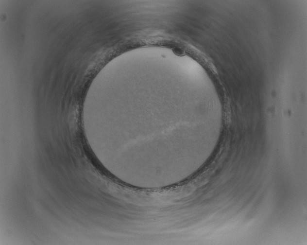 X0000072970018200608211333