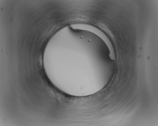 X0000072970021200608211333