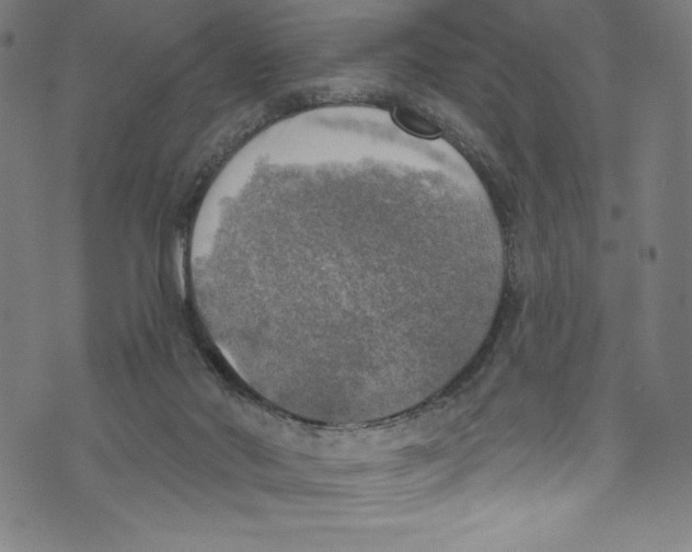 X0000072970022200608211333