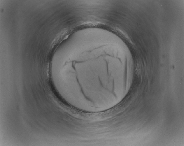 X0000072970023200608211333