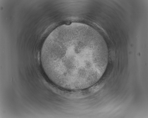 X0000072970024200608211333